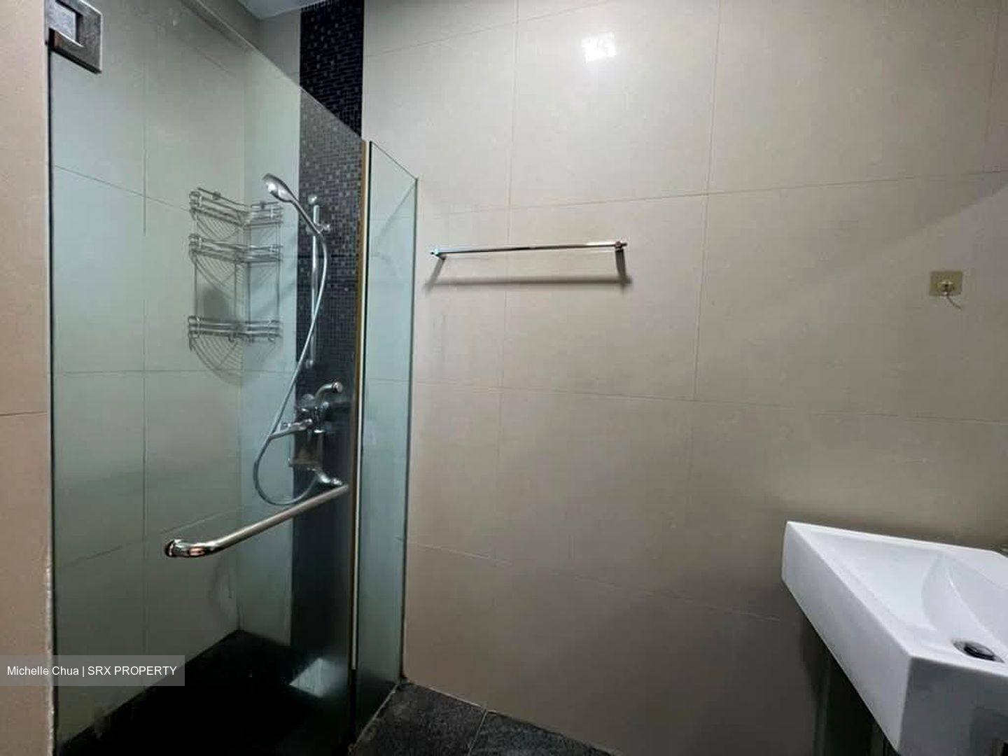 Haig Residences (D15), Apartment #595807281